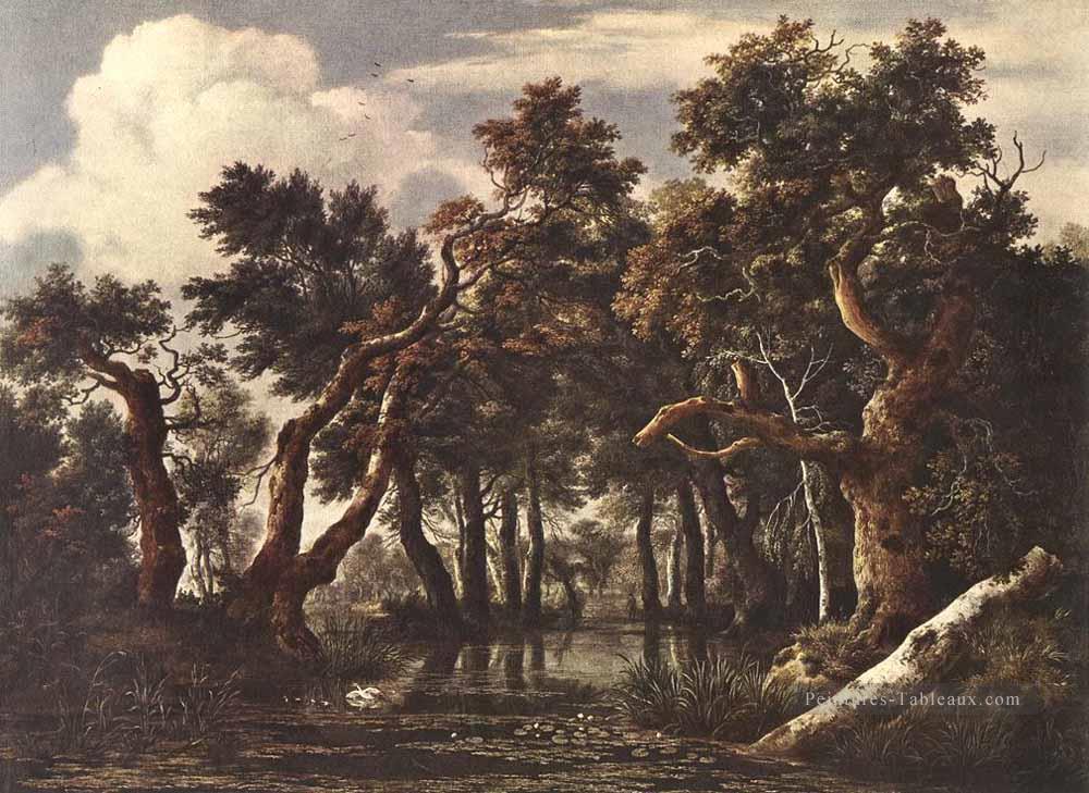 Le marais dans une forêt paysage Jacob Isaakszoon van Ruisdael Peintures à l'huile